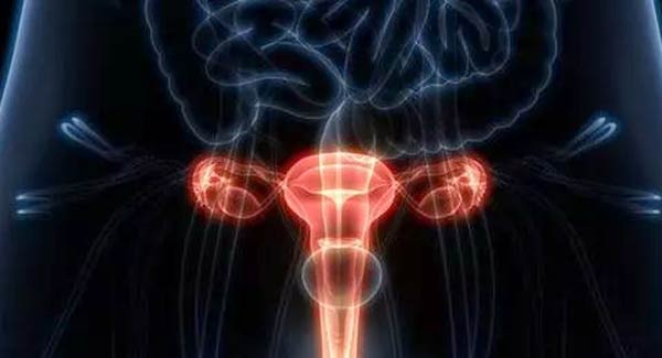 ENDOMETRİUM (rahim) KANSERİ TEDAVİSİNDE YENİ HABER